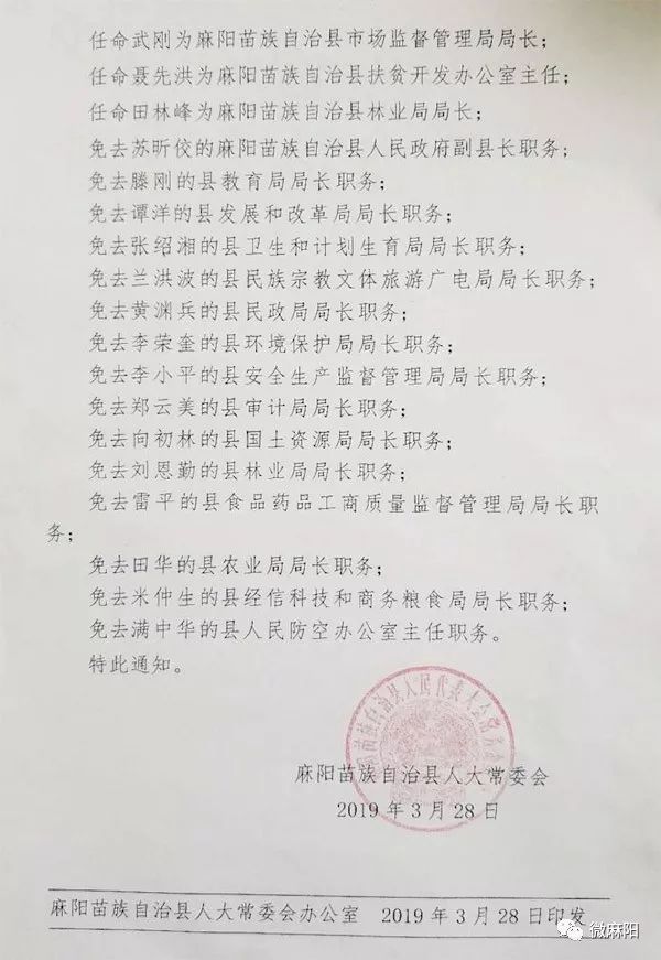 麻阳最新人事任免动态概览